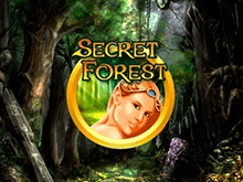 Онлайн игра Secret Forest  _