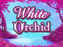 Игровой слот Белая Орхидея